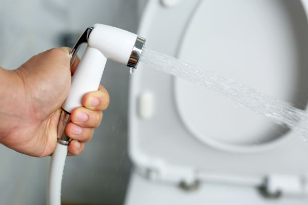 Bidet Installation in Novi