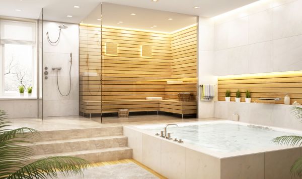 Steam Shower Repair in Novi