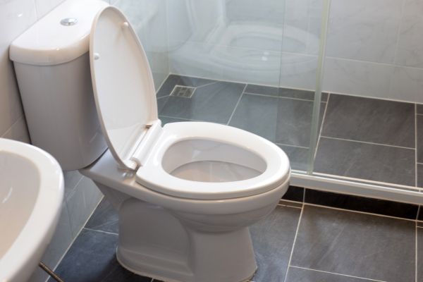 Toilet Replacement in Novi