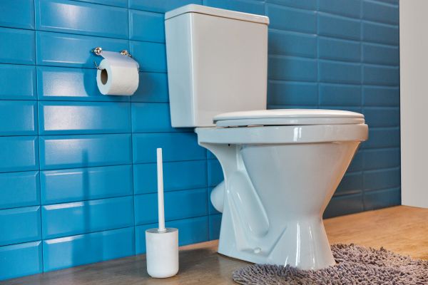 Cost of Toilet Tank Repair in Novi