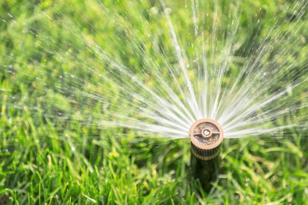Spigot Installation in Novi