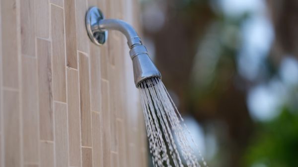 Showerhead Repair in Novi