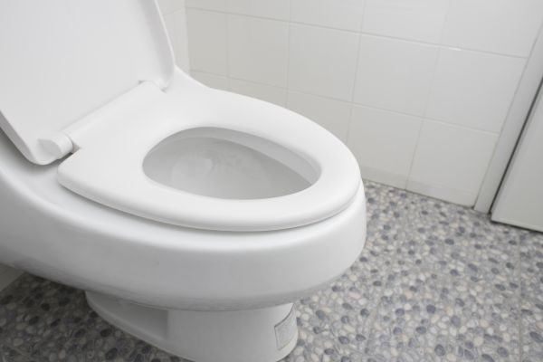 New Toilet Installation in Novi
