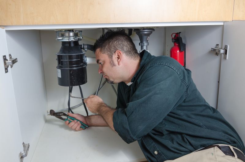 Garbage Disposal Replacement detail