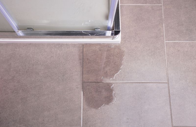 Leaky Shower Repair