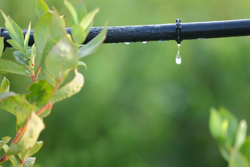 Pipe Drip Repair